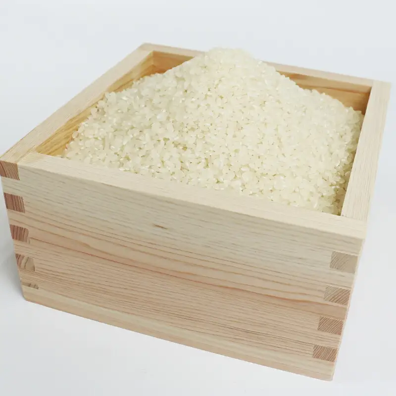 特別栽培米 三間のせせらぎ 三間町産 コシヒカリ 5kg 渡辺農園 ご飯 美味しい G014-117001
