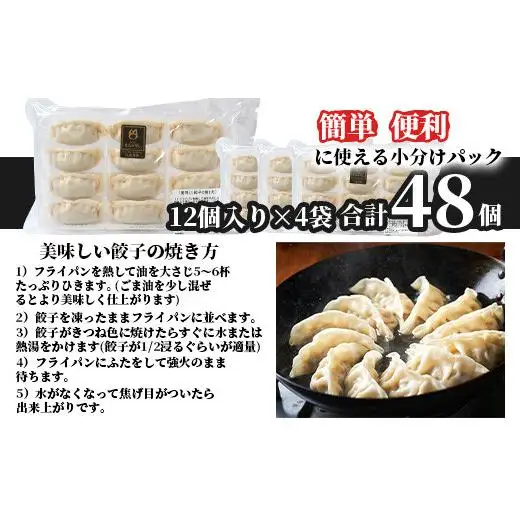 もろみ豚 特製 餃子 4パック【合計48個】 AH-5