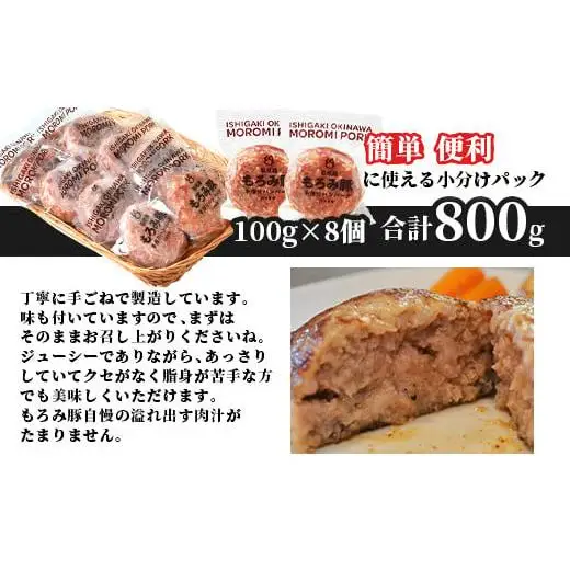 もろみ豚 特製 ハンバーグ 100g×8個【合計800g】 AH-8-1