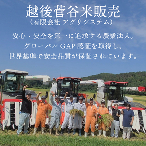 米 コシヒカリ 新潟県産 オーガニック米コシヒカリ 2㎏ 令和7年産 新潟県産 米 コシヒカリ 有機米 有機栽培 有機 オーガニック 2kg 新発田産 数量限定 D63_03