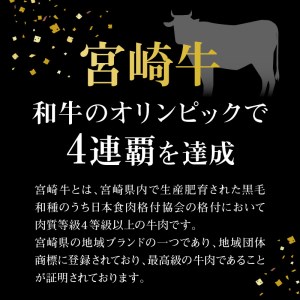 【定期便12回】宮崎牛 匠のよくばり堪能コース N0140-YI031