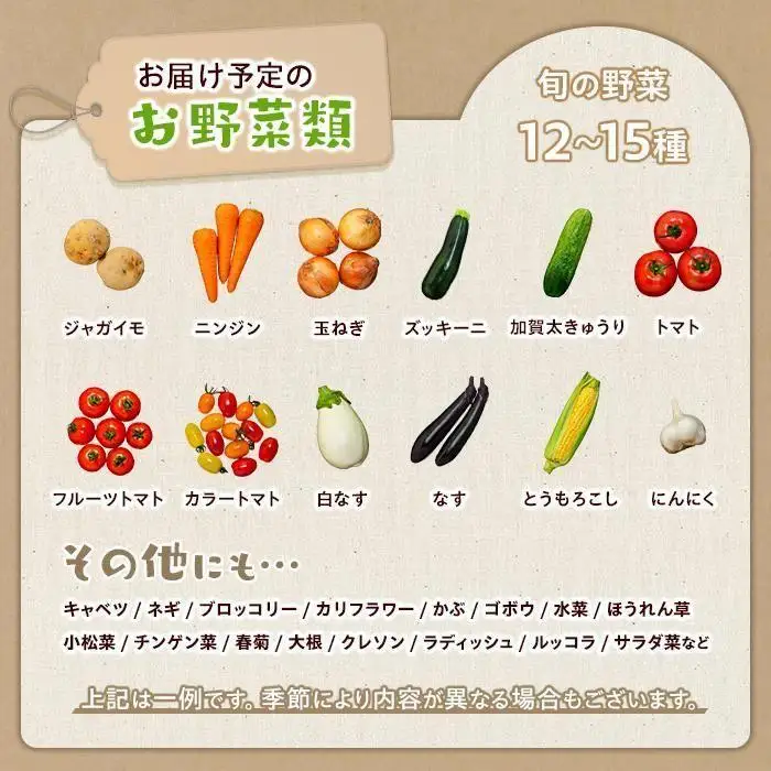 【定期便 全3回】江藤農園おすすめ 湯布院の旬の野菜（12～15種類！）詰め合わせ | 野菜