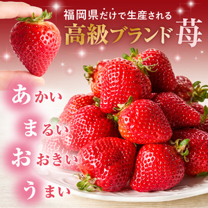 【先行予約】オーガニックあまおう 「いせいちご」 おまかせ4パック（大粒）_HA1019 | いちご あまおう