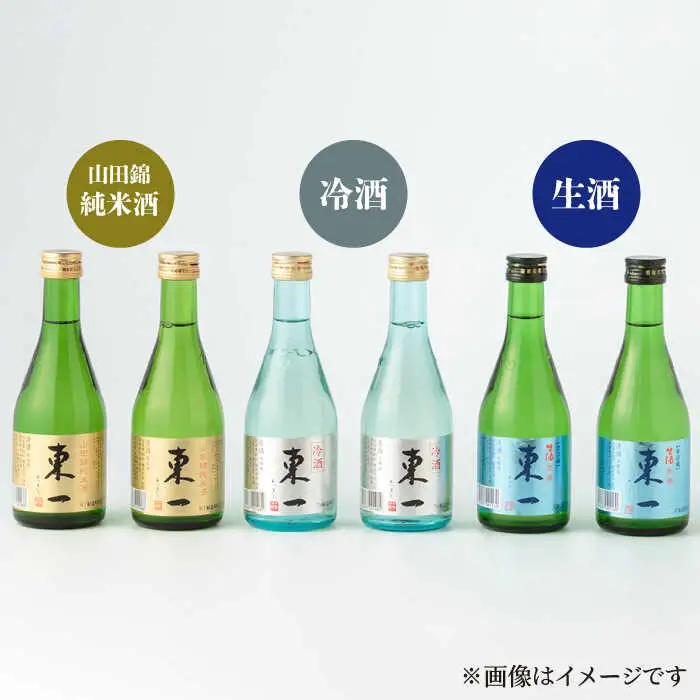 日本酒 東一 日本酒飲み比べ6本 NBQ010 