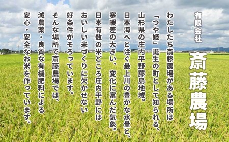 斎藤農場のパックごはん 大盛り 200g×36食 無菌包装米飯 K-866