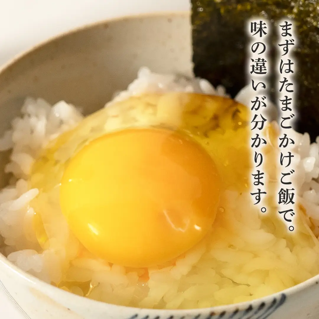 【6ヶ月定期便】枝さんち の たまご 20個×6回 合計120個 定期便 産地直送 たまご 玉子 生卵 鶏卵 タマゴ 平飼い 桜川市産 茨城県産 卵 非遺伝子組換え [BT005sa]