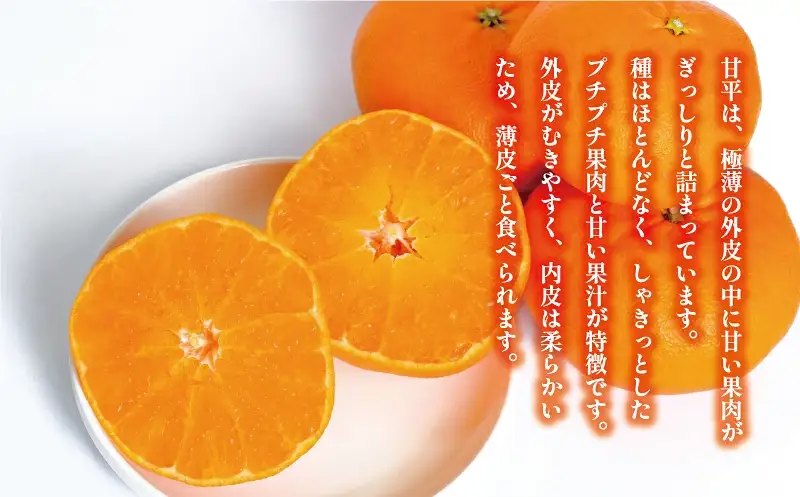 【甘平】 4kg かんぺい みかんの山祥 甘平