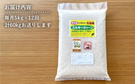【 全12回 定期便 】米 旋風 ミルキークイーン 5kg 《糸島》【百笑屋】 [ABF016] 米 お米 白米 精米