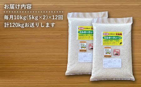 【 全12回 定期便 】米 旋風 ミルキークイーン 10kg（ 5kg × 2 ）《糸島》【百笑屋】 [ABF019] 米 お米 白米 精米