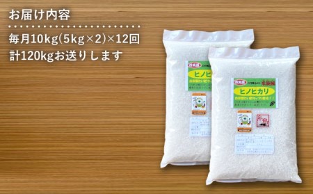 【 全12回 定期便 】米 旋風 ヒノヒカリ 10kg（ 5kg × 2袋 ）《糸島》【百笑屋】 [ABF025]  米 お米 白米 精米 定期便 ひのひかり