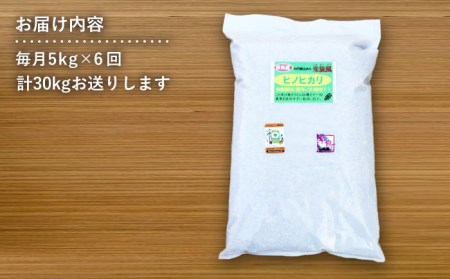 【 全6回 定期便 】米 旋風 ヒノヒカリ 玄米 5kg 《糸島》【百笑屋】 [ABF033] 米 お米 玄米 定期便 ひのひかり