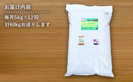 【 全12回 定期便 】米 旋風 ヒノヒカリ 玄米 5kg 《糸島》【百笑屋】 [ABF034] 米 お米 玄米 定期便 ひのひかり