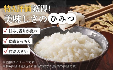 〈受付一時停止中〉【5kg×2回定期便】【令和5年産】さがびより 計10kg（5kg×2）吉野ヶ里町/増田米穀 ご飯 ごはん 米 お米 弁当 おにぎり 国産 佐賀 ブランド ふっくら もちもち [FBM030]