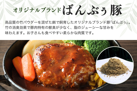 ブランド豚「ばんぶぅ」小分け ミンチ 1kg（500g×2パック） 冷凍便 1キロ たっぷり 豚肉 豚ミンチ 豚ひき肉 豚挽き肉 豚挽肉 キーマカレー ミンチカツ メンチカツ ハンバーグ 餃子 ギョウザ ぎょうざ シュウマイ 肉団子 ミートボール 麻婆 マーボー ぶた肉 ブタ肉 国産 茨城県産 ギフト プレゼント お祝い ご褒美 42-AQ