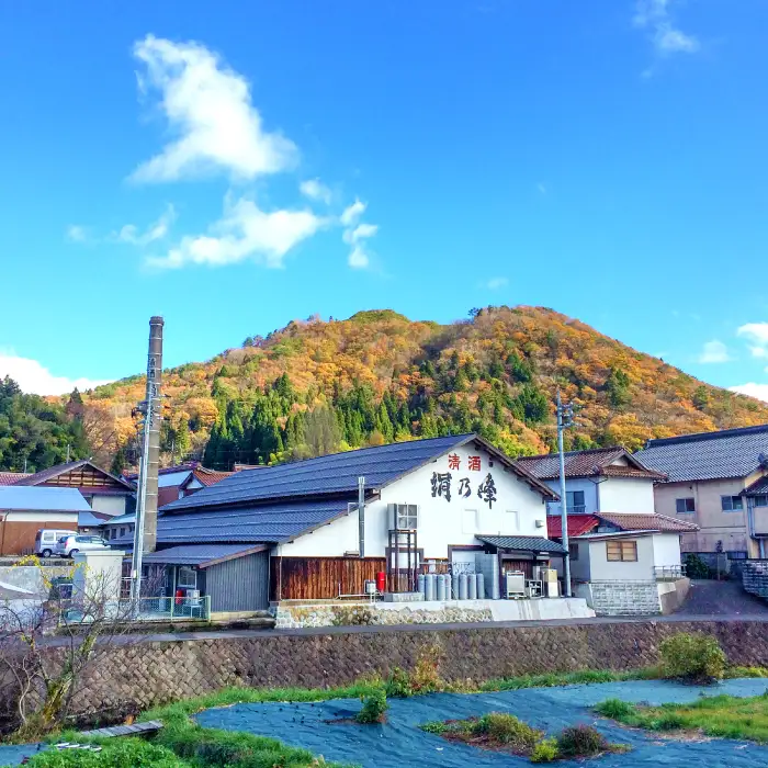 絹乃峰純米大吟醸　四拾720ml贈答用【日本酒 地酒 純米大吟醸 贈答用 ギフト 島根県 飯南町 A-210】