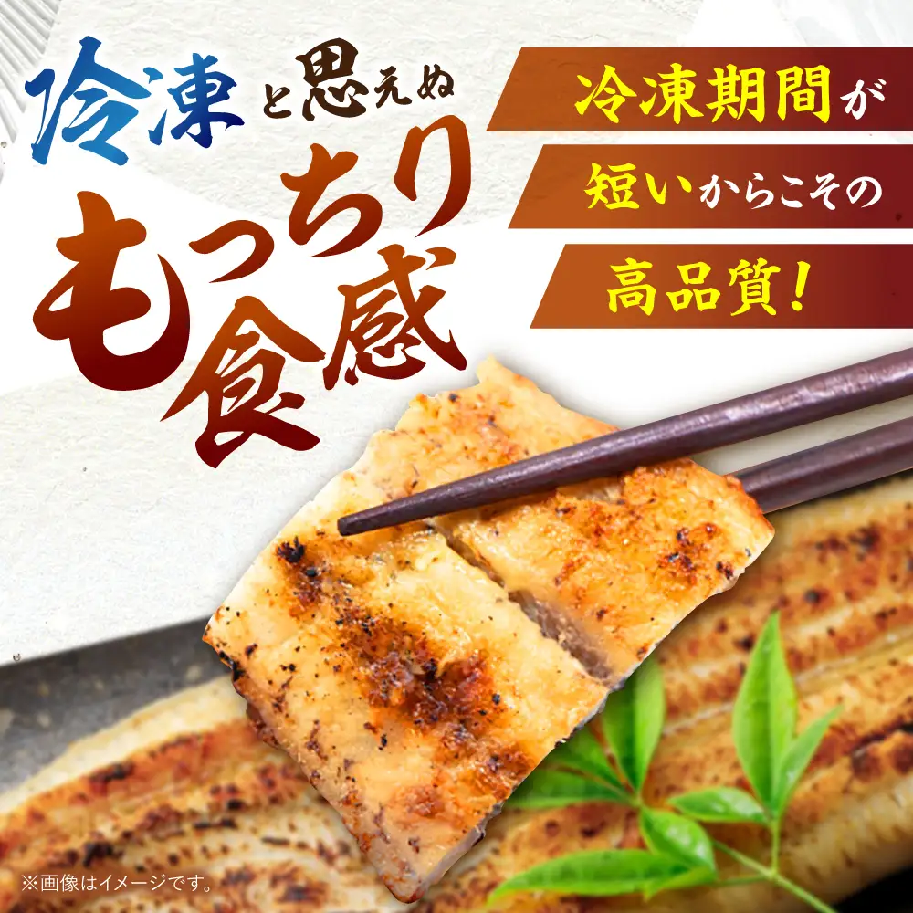＜諫早淡水＞うなぎ白焼き 2尾 / うなぎ ウナギ 鰻 白焼き 白焼 国産 冷凍 小分け / 諫早市 / 諫早淡水株式会社 [AHAT011]