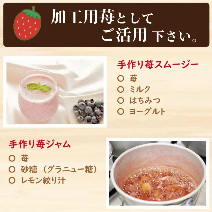 【先行予約】令和9年2月上旬頃出荷開始 訳あり苺（1.800g）ふるかわ農園 大量 段ボール入り イチゴ いちごさん 苺 訳あり B130-056