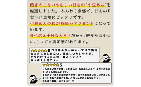 T9 小豆あん（粒あん）普通サイズ たいやき (10個入) たい焼き おやつ 和菓子 福岡県 みやま市