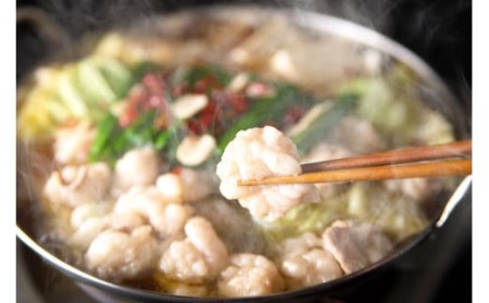 博多もつ鍋食べ比べ3人前セット（醤油味3人前・味噌味3人前） もつ鍋 モツ 牛 ちゃんぽん麺 鍋 福岡県 嘉麻市