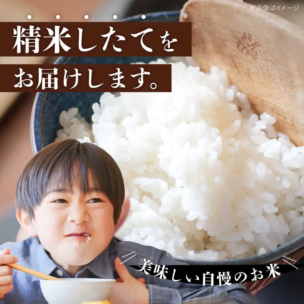 【令和7年度産】福井県産 こしひかり 白米 10kg / 米 白米 精米 小浜市 / お米のきたろう [BFBW001] 