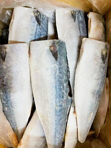 【訳あり 家庭用】大容量！ 無添加 塩さば フィレ 3.5kg_G7324