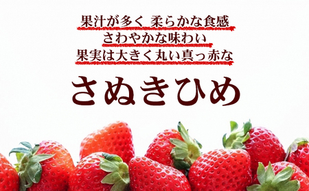 2027年1月～4月発送予定 いちご さぬきひめ 約500g いちご