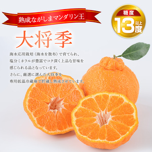 【先行予約】熟成 ながしまマンダリン王(大将季) 約5kg【ながしまマンダリングループ】mandarin-7199