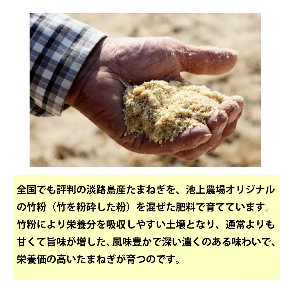 淡路島　池上農場の完熟玉ねぎ「あやたけ」5kg　玉ねぎ