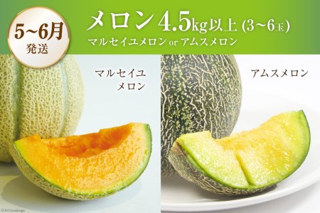 AG131【令和9年度出荷分】 全2回 厳選！夏の人気フルーツ定期便