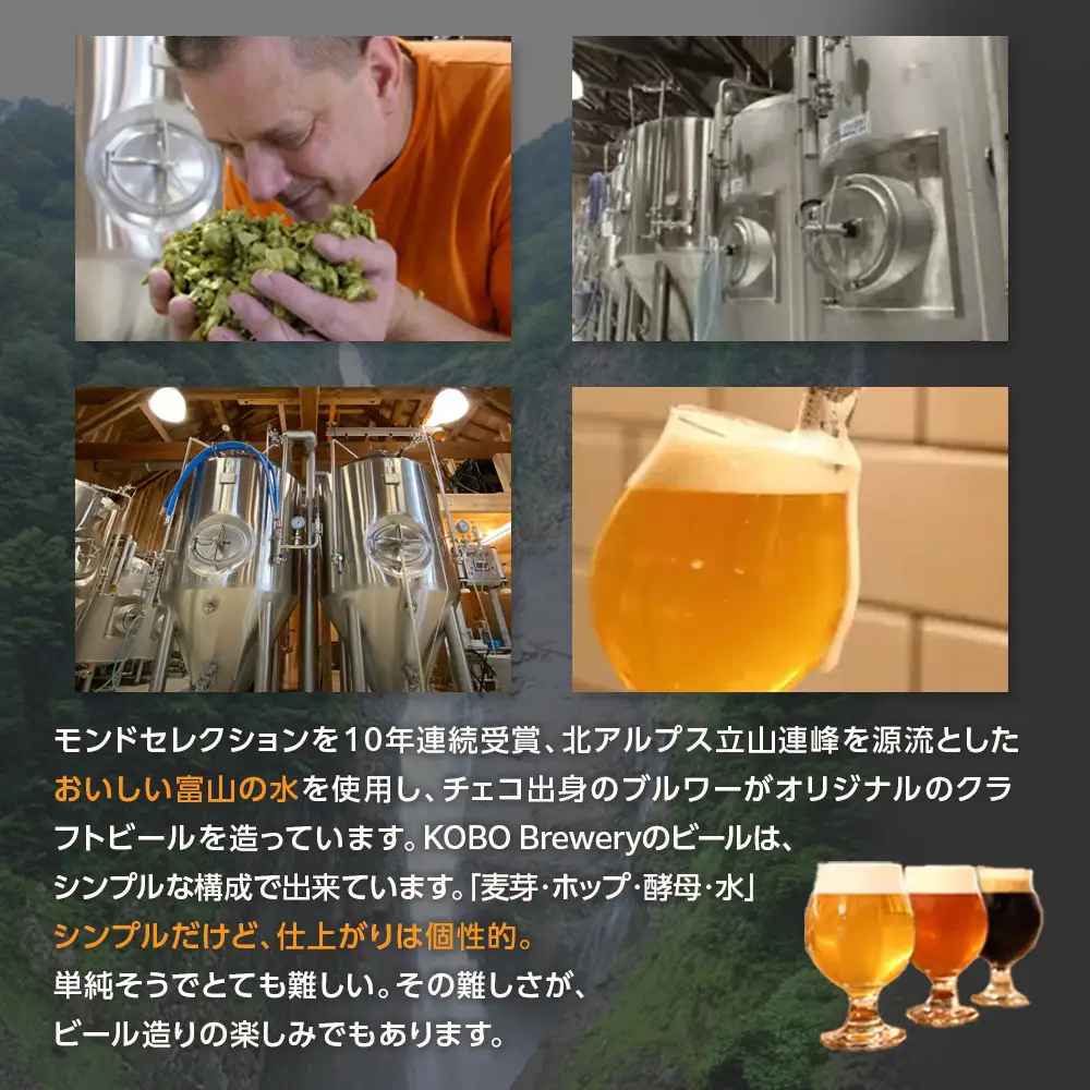 クラフトビール ６種セット（計６本）