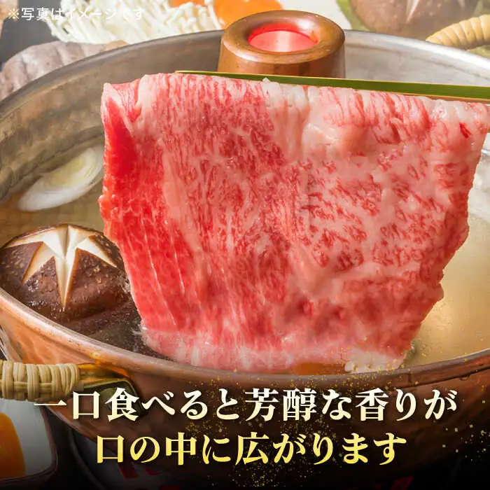 【全6回定期便】特選 壱岐牛 モモ 500g (すき焼き/しゃぶしゃぶ) [JDL029]