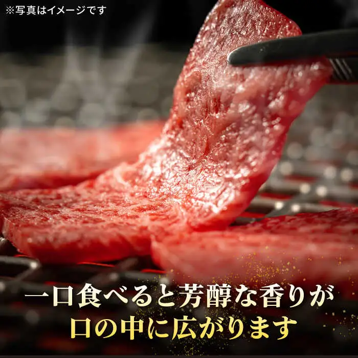 【全6回定期便】 特選 壱岐牛 モモ 500g （焼肉）《壱岐市》【太陽商事】[JDL035] 肉 牛肉 モモ 赤身 焼肉 BBQ 132000 132000円 12万円