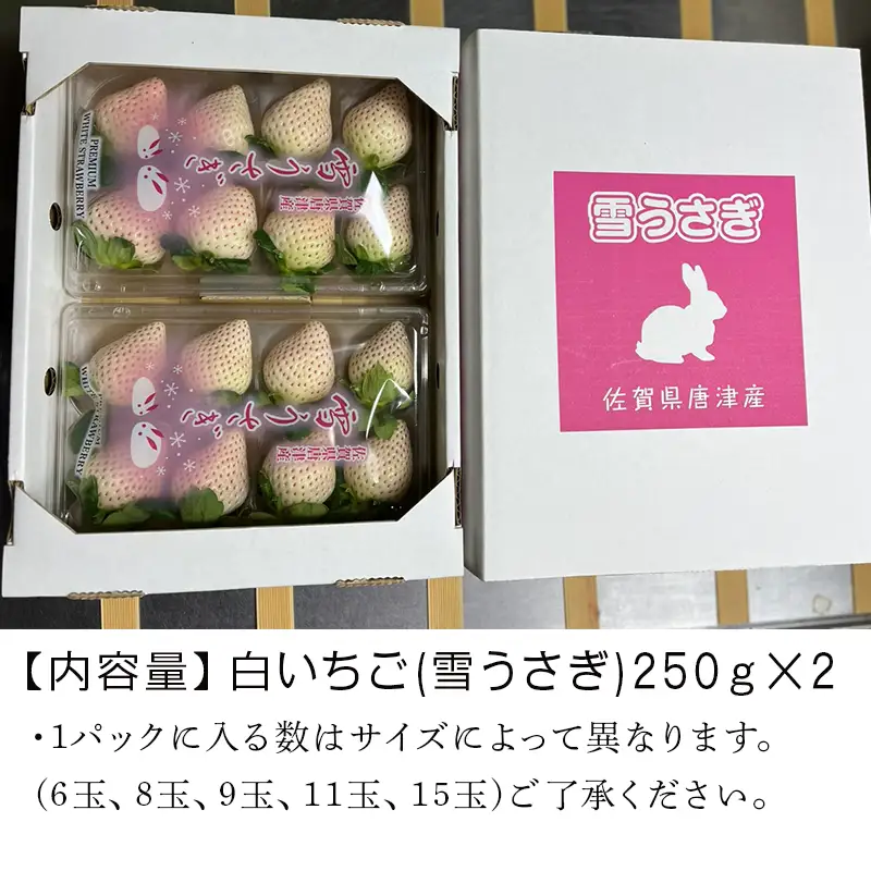 『先行予約』【令和9年2月中旬発送】唐津産 白いちご「雪うさぎ 」