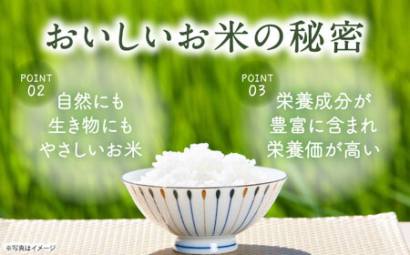 【令和7年度米】栽培期間中農薬不使用 農家のおいしいお米 10kg（5kg×2袋）【浅田峠自然塾】 [EA05]