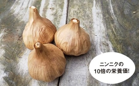 【先行予約！6月下旬より順次発送】まるでプルーン♪自家製 黒ニンニク 自然栽培 【浅田峠自然塾】 [EA13]