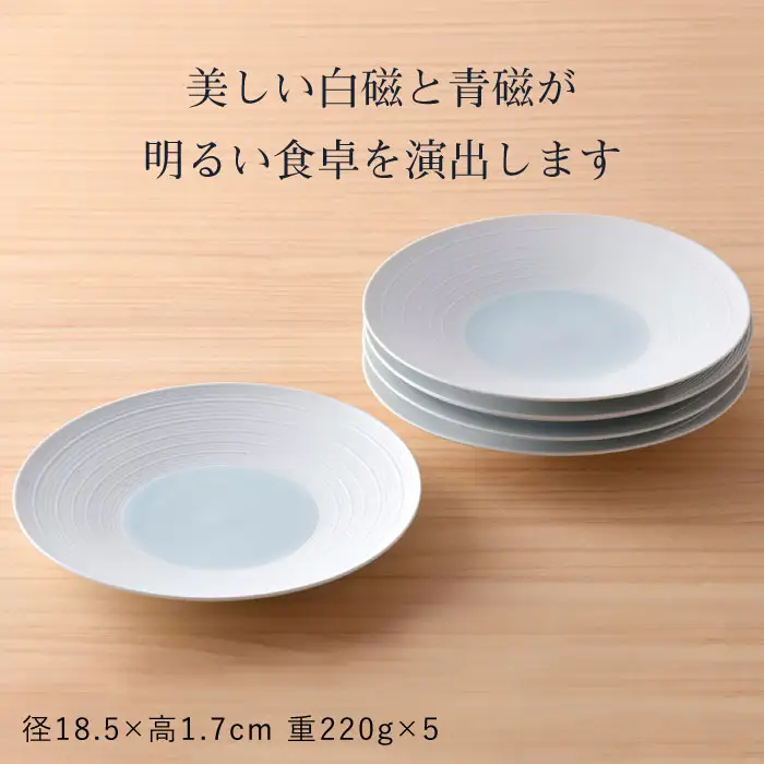 【波佐見焼】青白磁千段5枚セット 食器 皿 【洸琳窯】 [GE11]  波佐見焼