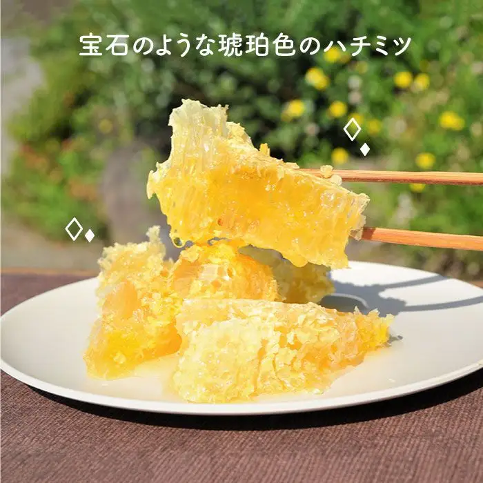 日本蜜蜂の純粋はちみつ 3個セット [MD01] 