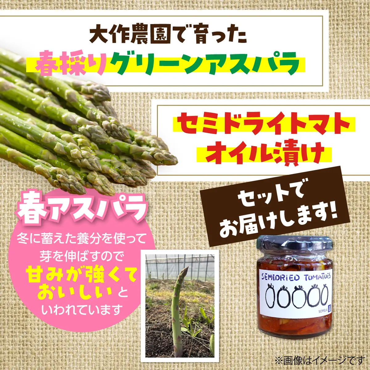 ＜2027年4月中旬頃よりお届け＞北海道壮瞥産 大作農園の「春採りグリーンアスパラM～LL混合」約300gとセミドライトマトオイル漬け1瓶（110g）のセット SBTR009