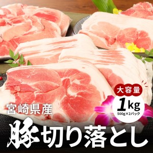 宮崎県産黒毛和牛＆豚肉切落しセット 各1kg(500g×2P)_K16_0056_6
