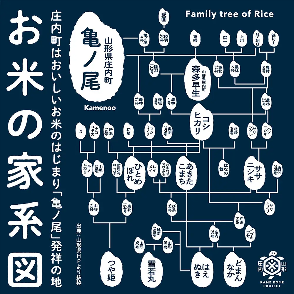 吉祥ファーム 庄内町産 無洗米7種食べ比べセット 2kg×7種 14kg ゆうだい21・ひとめぼれ・ササニシキ・はえぬき・つや姫・雪若丸・ミルキークイーン