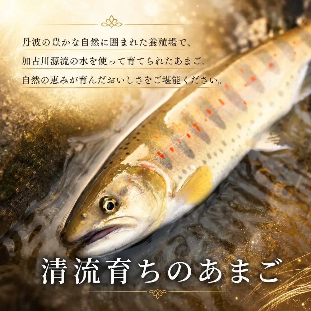 あまごづくしペアチケット お食事券