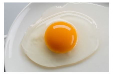 【１２ヶ月定期便】丹波奥郷の卵 やまぶき ４５個+５個破卵補償 (約3L）卵