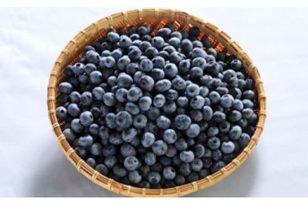 冷凍ブルーベリー 果実 1kg 〈丹波市産〉 ブルーベリー 果物
