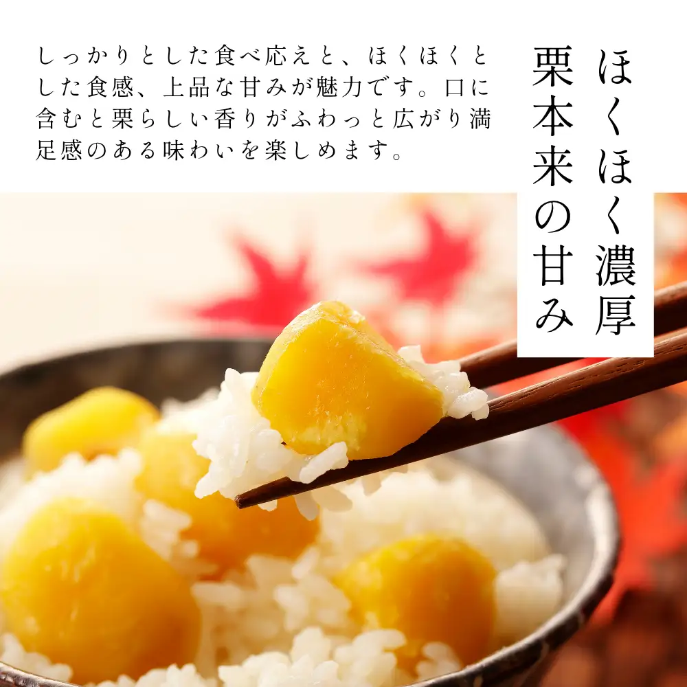 丹波市産　丹波栗　3L・2kg