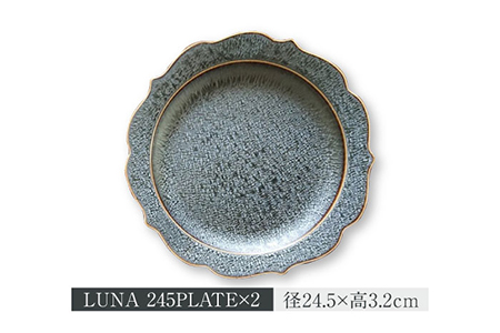 【美濃焼】LUNA プレート・ボウル 3形状 各2点 計6点セット【ヤマ吾陶器】食器 皿 鉢 パスタ皿 カレー皿 サラダボウル ワンプレート メインディッシュ ランチ ディナー 上品 高級感 おしゃれ レンジ対応 食洗機対応 送料無料 [MCE006]