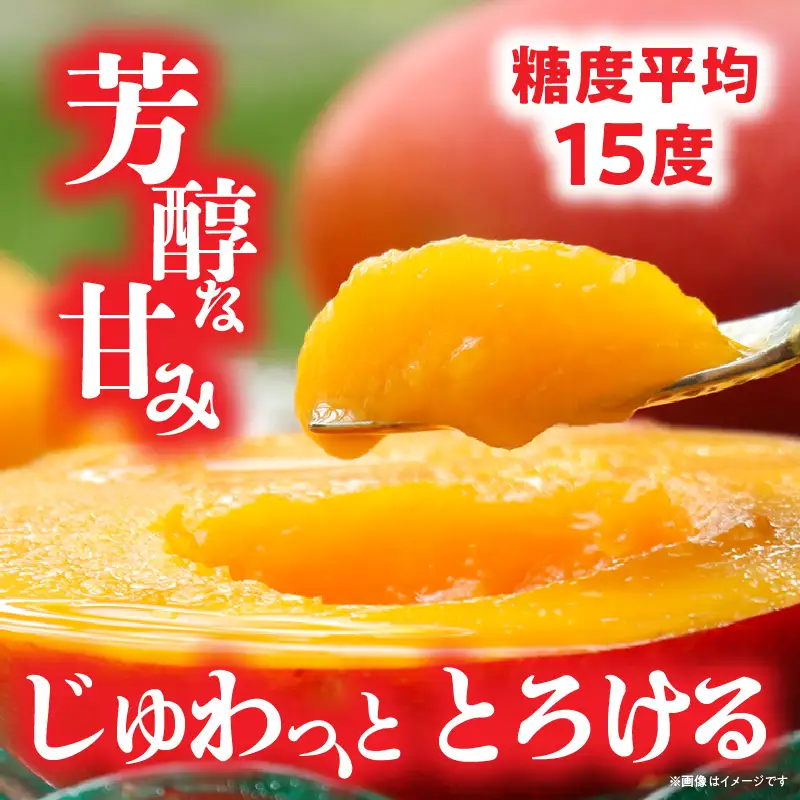 【生産者応援】訳あり！糖度13度以上！平均15度！ご家庭用 宮崎完熟マンゴー1.5～1.7 kg（2Lサイズ2玉入の約2倍！）_K005-019