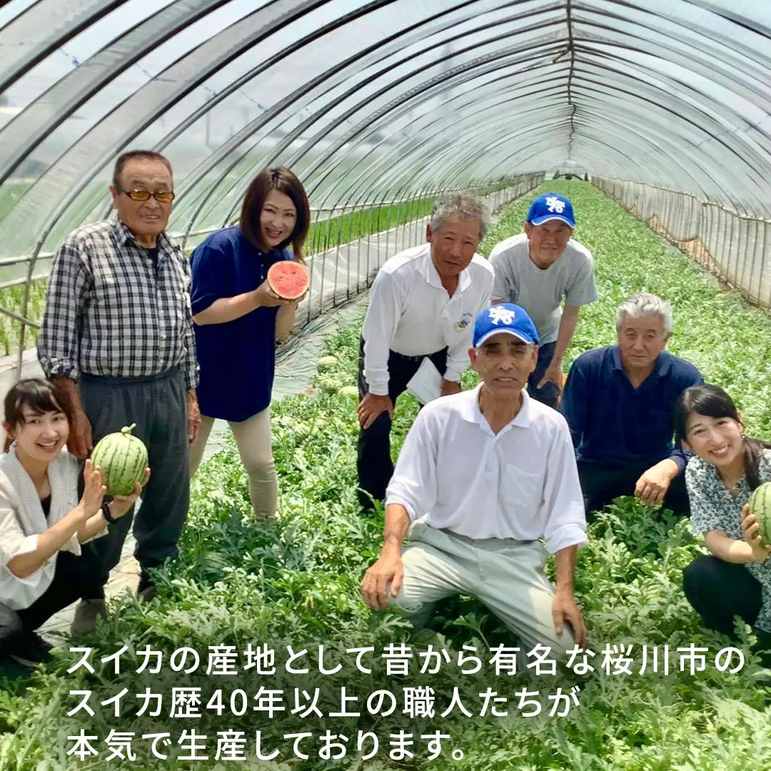 《 2027年 収穫分 》 訳あり 小玉スイカ 愛娘 1玉 先行予約 国産 KEK 小玉 スイカ すいか 小玉すいか こだますいか 国産 西瓜 フルーツ 果物 くだもの 訳アリ 不揃い 農家直送 旬 甘い 人気 産直 昼めし旅 [BC060sa]