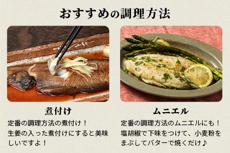 【下処理済で簡単調理】有明海産 シタビラメ約150g×4尾【合計約600g】煮つけ・唐揚げにおススメ【脂ののって美味しい】鮮度抜群 B-568