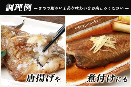 冷凍芝エビ（真エビ）2kg（500g×4パック）＆有明海産 シタビラメ約150g×4尾【有明海の恵】簡単調理 セット D-177