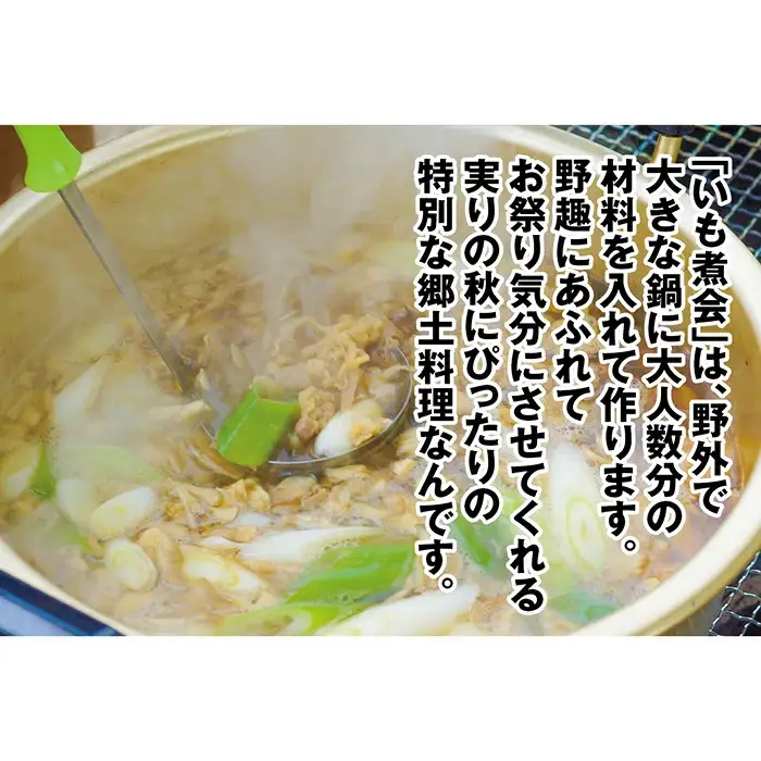 山形のいも煮 内陸味3袋と庄内味3袋 F2Y-4839